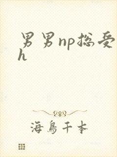 男男np总受高h