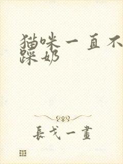 猫咪一直不停的踩奶