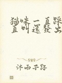 猫咪一直踩奶一直叫还发出呼呼声