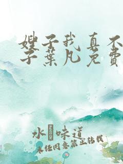 嫂子我真不是傻子叶凡免费下载