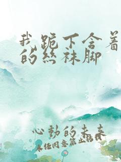 我跪下含着女王的丝袜脚