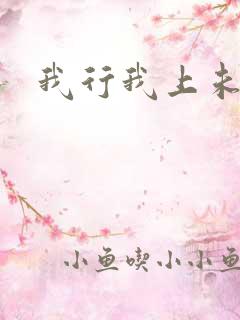 我行我上未删减