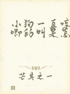 小狗一直哼哼唧唧的叫是怎么回事