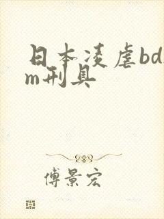 日本凌虐bdsm刑具