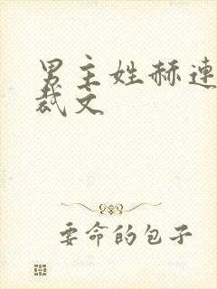 男主姓赫连的总裁文