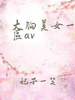 大胸美女一区二区av