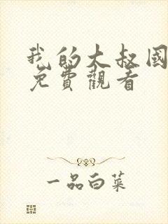 我的大叔国语版免费观看