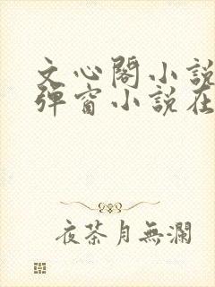 文心阁小说_无弹窗小说在线免费阅读