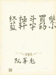 终极斗罗双男主蓝轩宇的小说