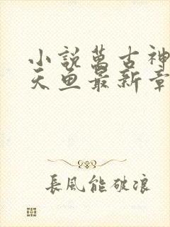 小说万古神帝飞天鱼最新章节列表免费