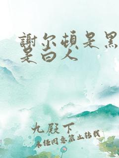 谢尔顿是黑人还是白人