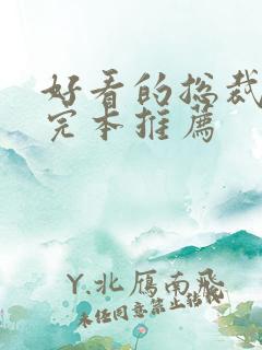 好看的总裁小说完本推荐