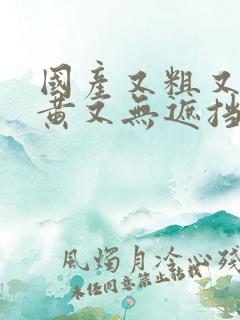 国产又粗又猛又黄又无遮挡