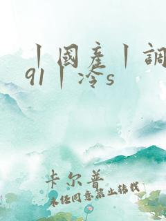 丨国产丨调教丨91丨冷s