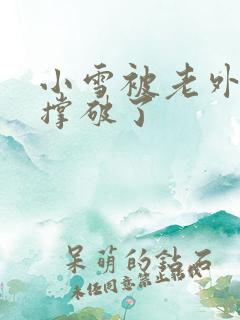 小雪被老外黑人撑破了