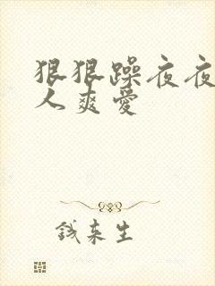 狠狠躁夜夜躁人人爽爱