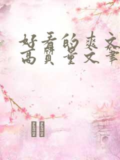 好看的爽文小说高质量文笔好