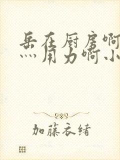 岳在厨房啊灬啊灬用力啊小说