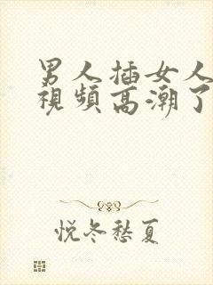 男人插女人下面视频高潮了