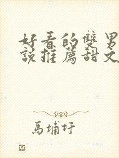 好看的双男主小说推荐甜文