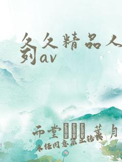 久久精品人妻系列av