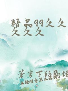 精品99久久久久久久