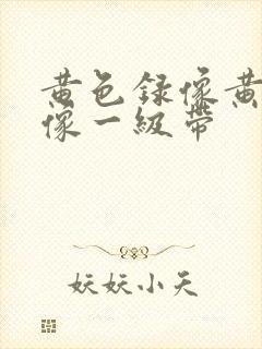 黄色录像黄色录像一级带