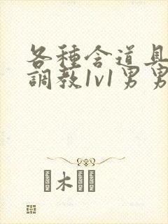 各种含道具高h调教1v1男男