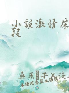 小说激情床戏片段