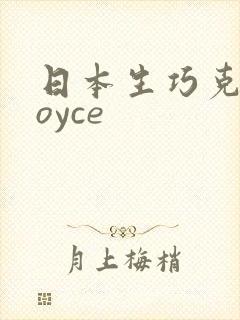 日本生巧克力royce