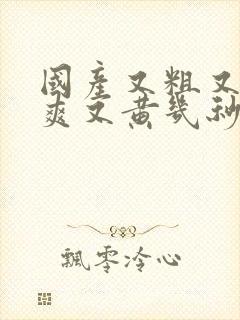 国产又粗又猛又爽又黄几秒视频