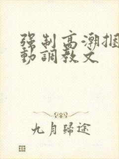 强制高潮捆绑震动调教文