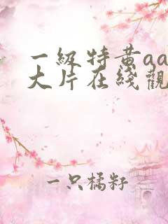 一级特黄aaa大片在线观看