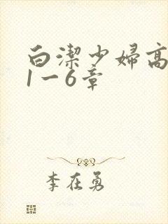 白洁少妇高义第1一6章
