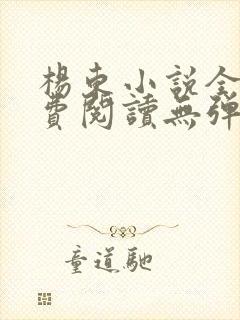 杨东小说全文免费阅读无弹窗