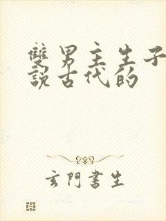 双男主生子文小说古代的