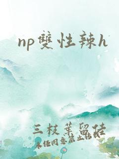 np双性辣h
