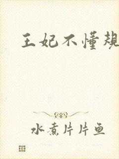 王妃不懂规矩