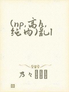 (np,高h,纯肉)乱l