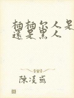 柏柏尔人是白人还是黑人