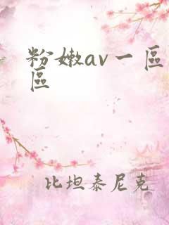 粉嫩av一区二区