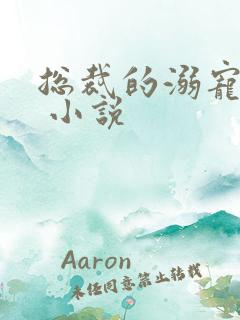 总裁的溺宠甜妻 小说