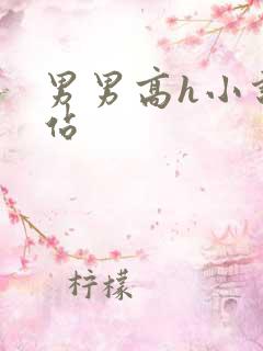 男男高h小说网站