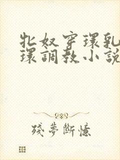 牝奴穿环乳环蒂环调教小说