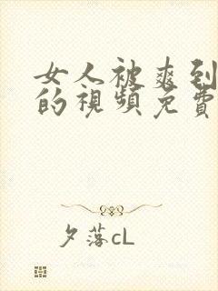 女人被爽到高潮的视频免费95