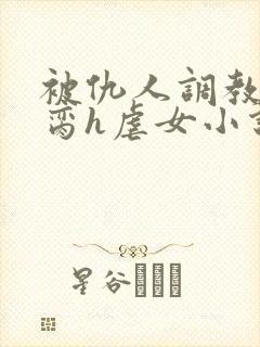 被仇人调教成禁脔h虐女小说