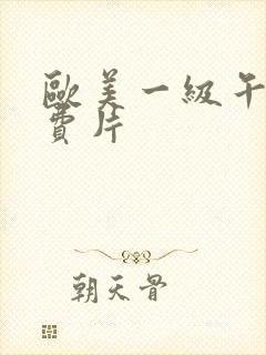 欧美一级午夜免费片