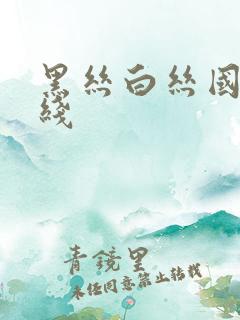 黑丝白丝国产在线