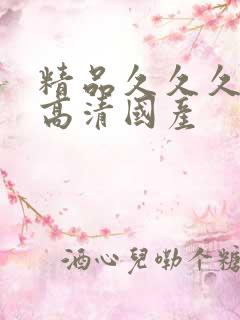 精品久久久久久高清国产