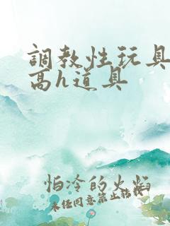 调教性玩具np高h道具